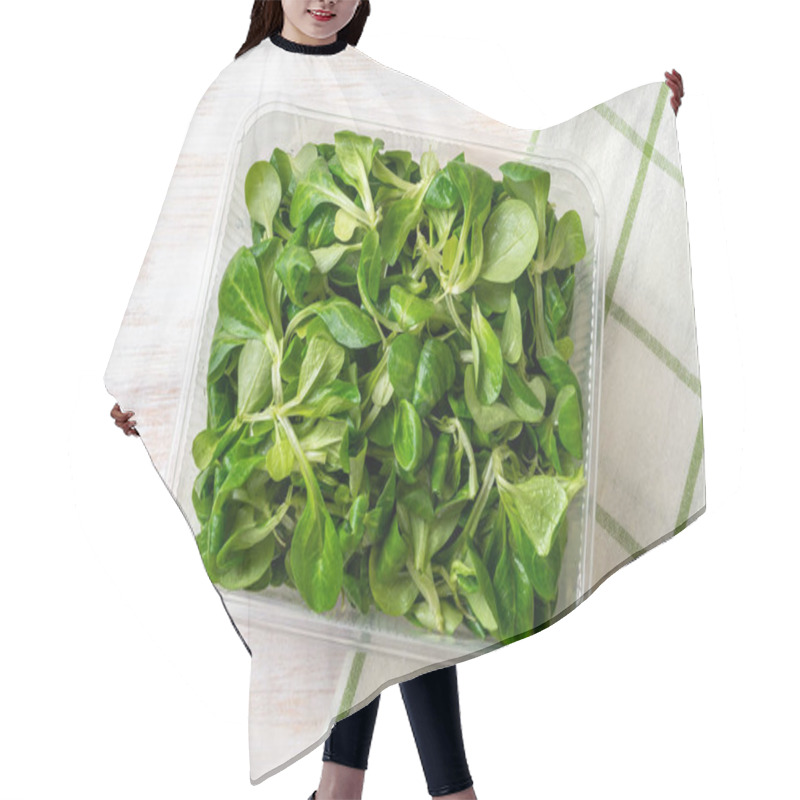 Personality  Lambs Lettuce Leaves In A Plastic Food Container On A Wooden Table. Corn Salad Or Mache For Vitamin Vegetable Salad Recipe. Low Calories Vegetarian Food Ingredient. Salad Greens Concept. Top View. Hair Cutting Cape