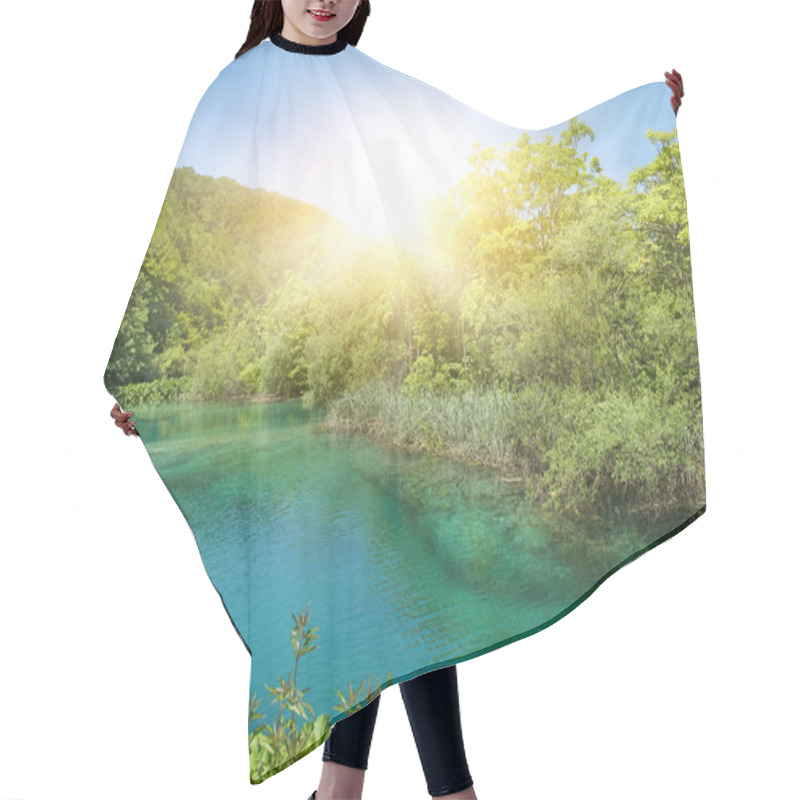 Personality  Sunshine In A Forest Hair Cutting Cape