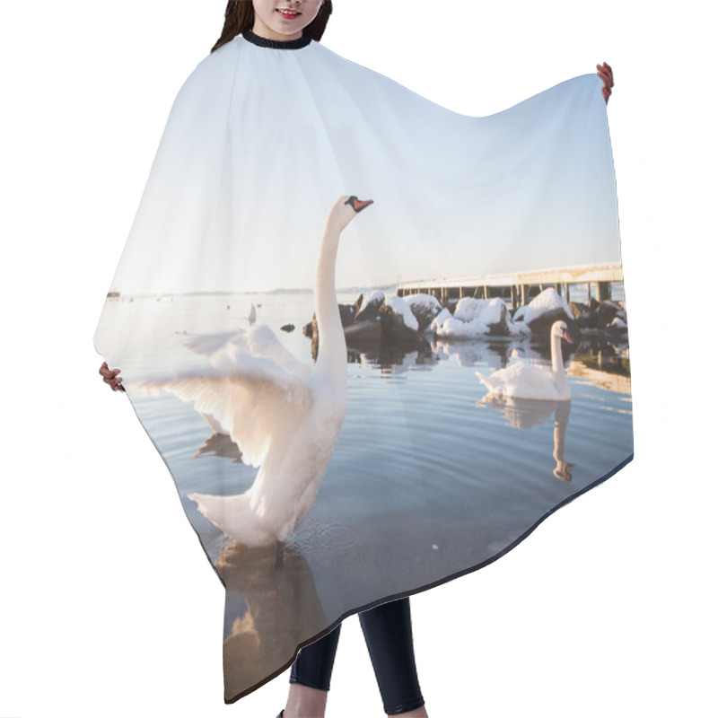 Personality  Swan Spreads Wings Hair Cutting Cape