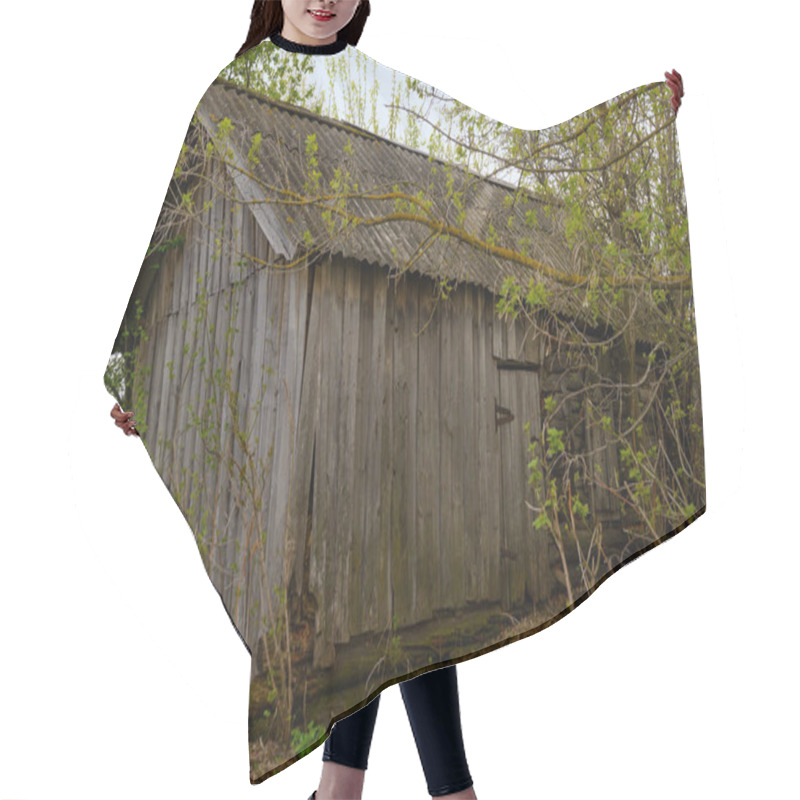 Personality  Old Wooden Lumbering Shed Between The Trees Hair Cutting Cape