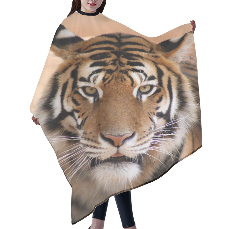 Personality  Tiger Face With Mouth Slightly Open Hair Cutting Cape