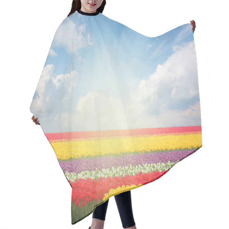 Personality  Dutch Yellow Tulip Fields In Sunny Day Hair Cutting Cape