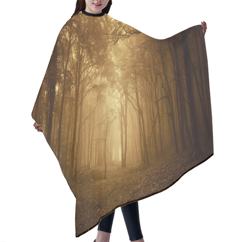 Personality  Path Trough A Dark Spooky Forest With Fog In Autumn On Halloween Hair Cutting Cape