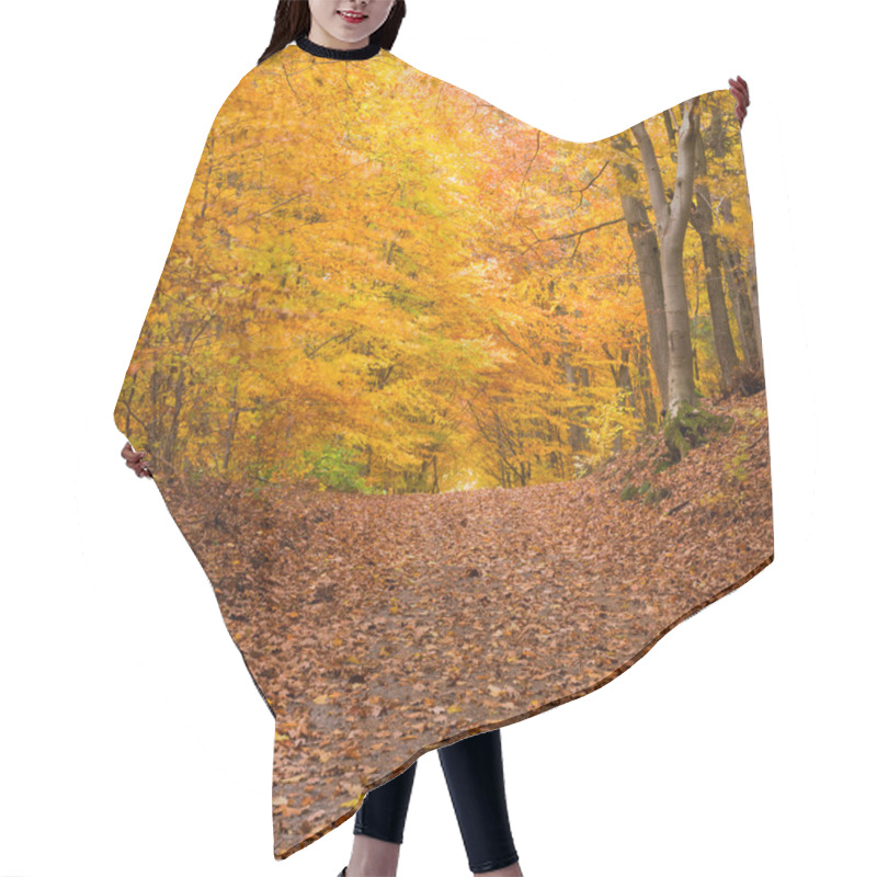 Personality  Fall Forest Trail Hair Cutting Cape