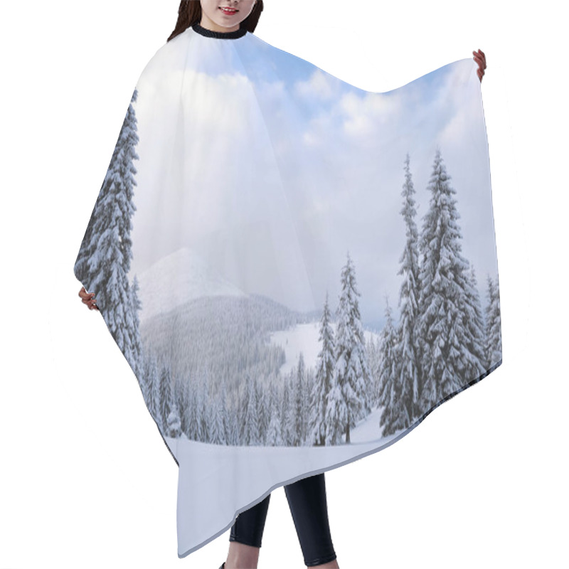 Personality  Fantastic Fluffy Christmas Trees In The Snow. Postcard With Tall Trees, Blue Sky And Snowdrift. Winter Scenery In The Sunny Day. Mountain Landscapes.  Hair Cutting Cape