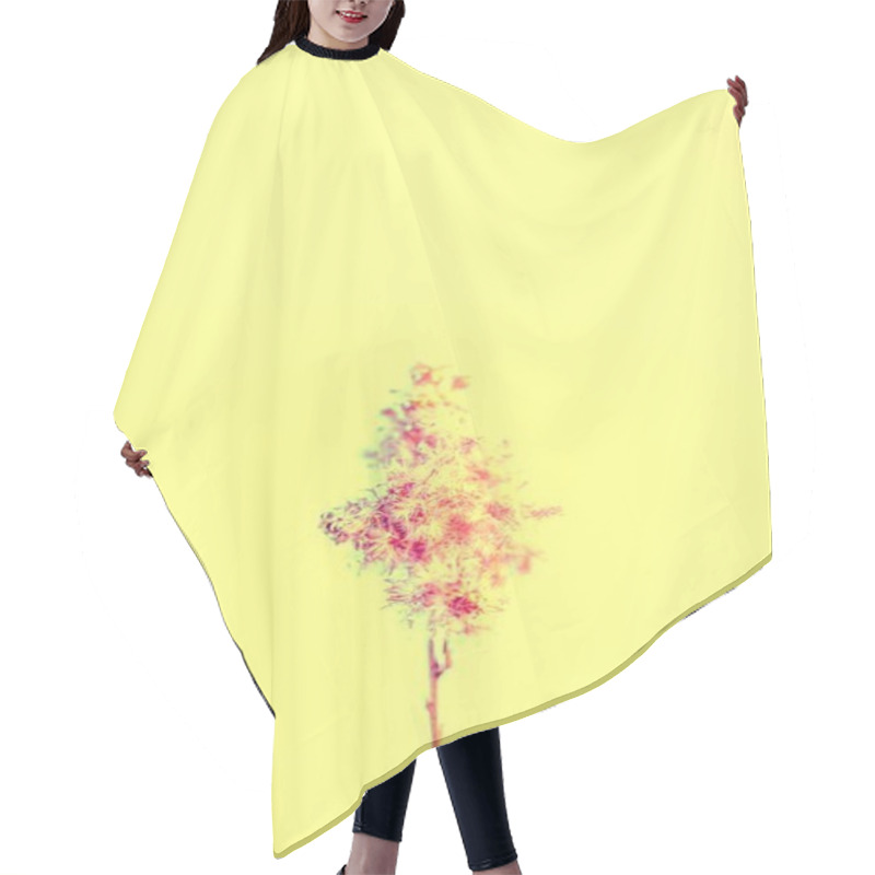 Personality  A Delicate Flower Captured Against A Pastel Yellow Background. Hair Cutting Cape