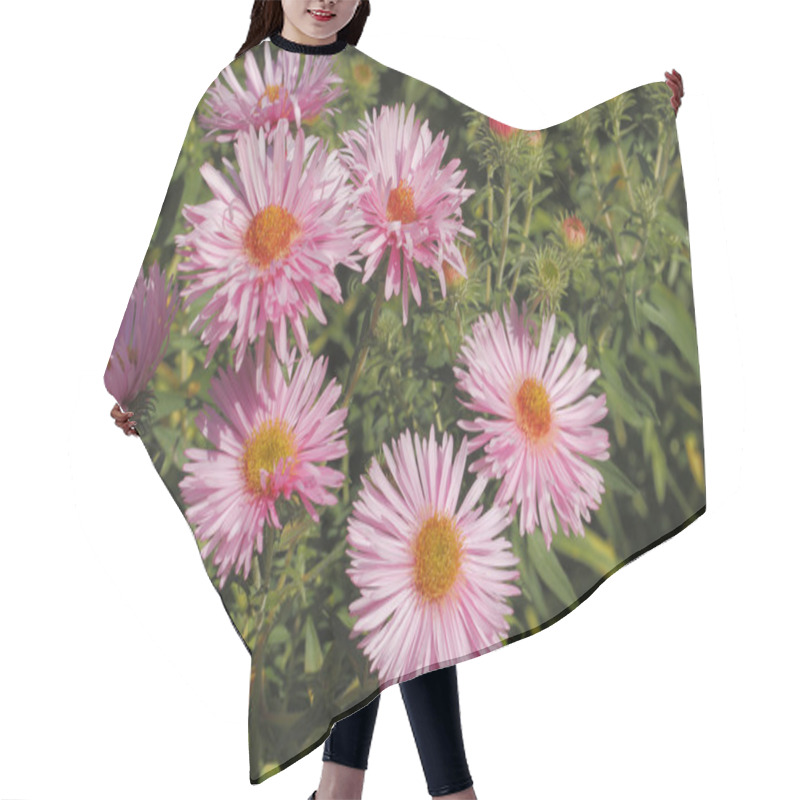 Personality  Blooming Asters Hair Cutting Cape