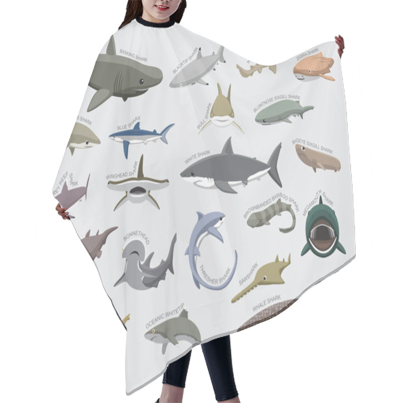 Personality  Shark Various Kind Identify Cartoon Vector Hair Cutting Cape