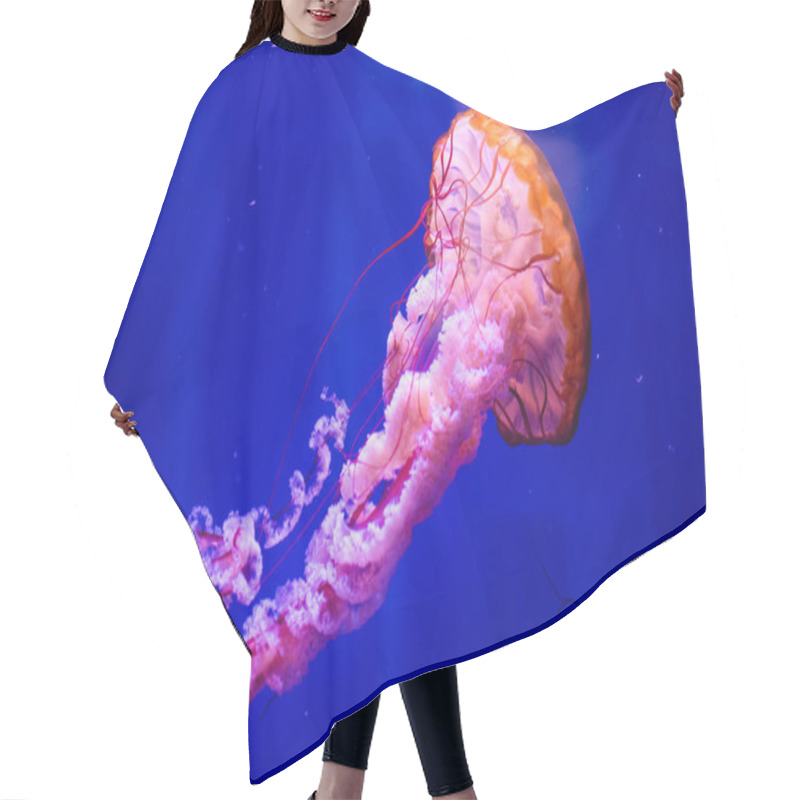 Personality  Beautiful Jellyfish, Medusa In The Neon Light With The Fishes. A Hair Cutting Cape