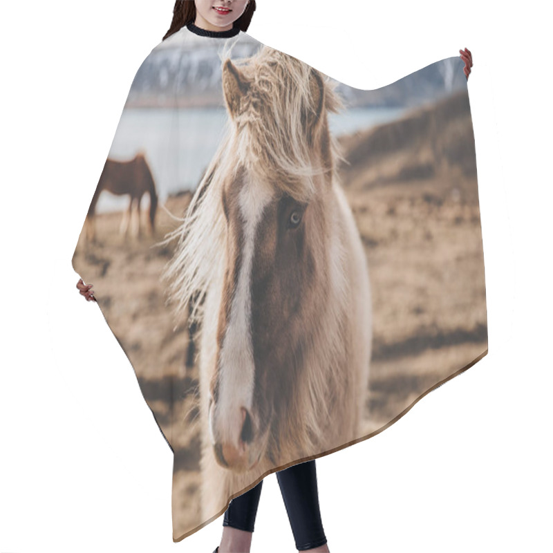 Personality  Icelandic Horse Hair Cutting Cape