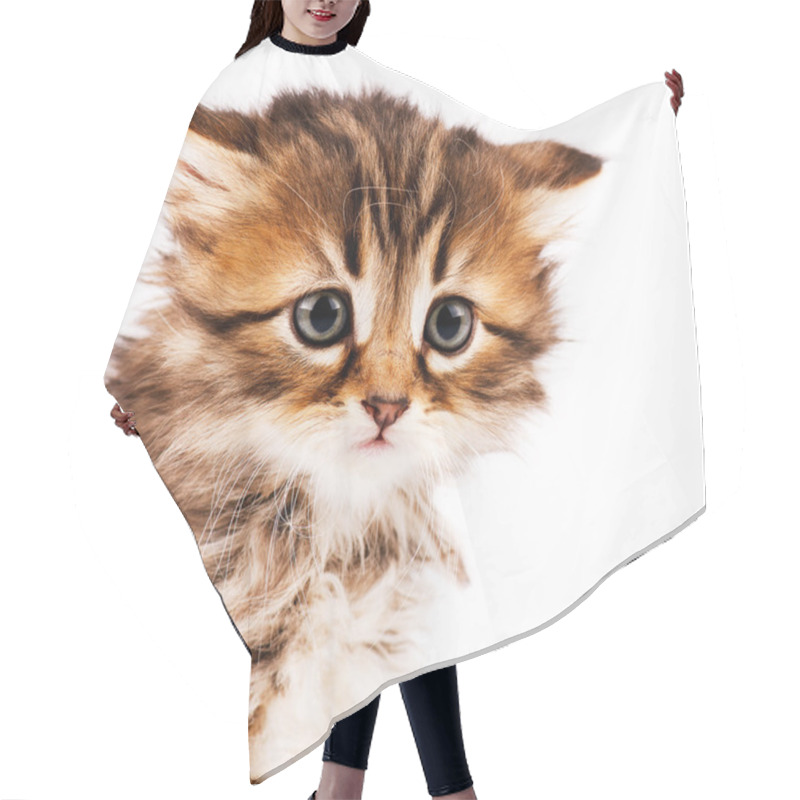 Personality  Cute Kitten Hair Cutting Cape