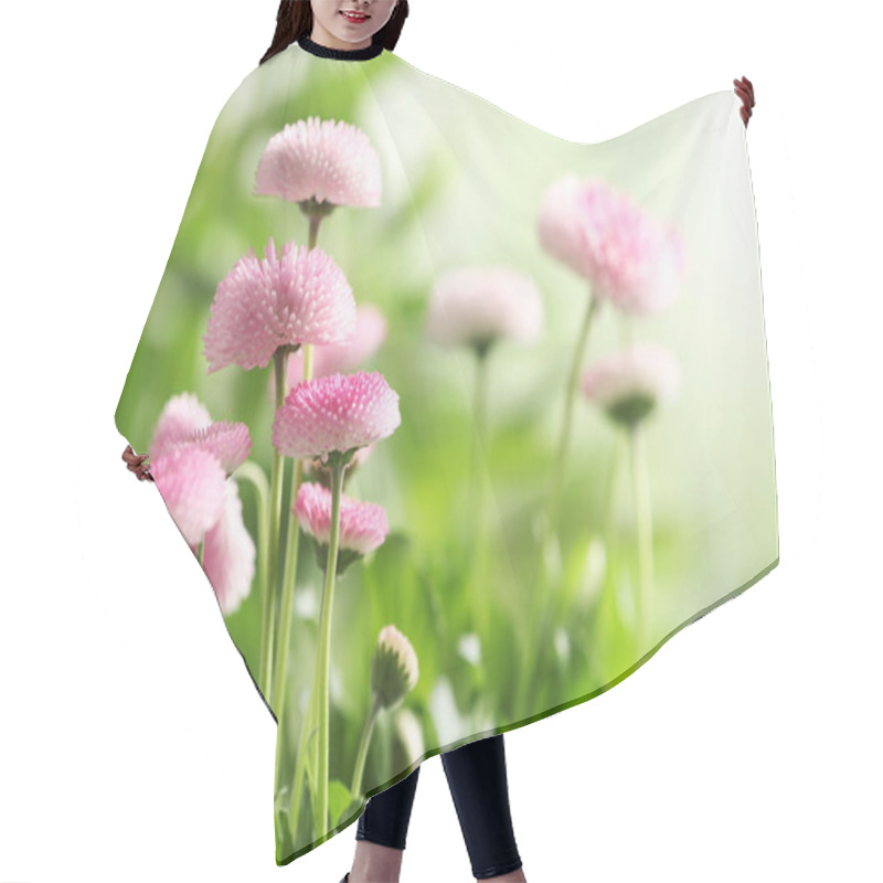 Personality  Beautiful Blooming Daisies Against Blurred Background, Space For Text. Spring Flowers Hair Cutting Cape