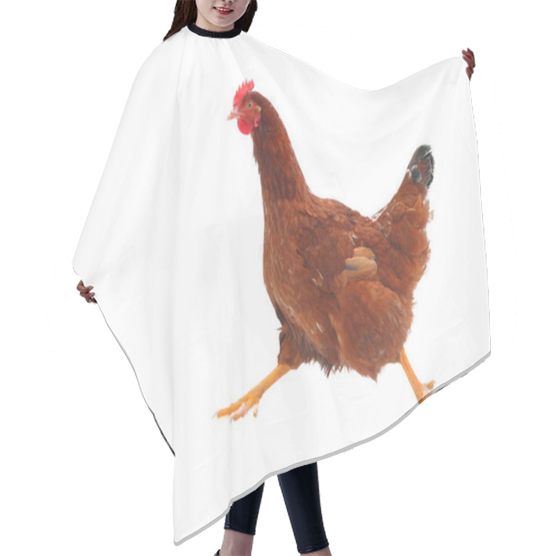 Personality  Running Hen - Isolated Hair Cutting Cape