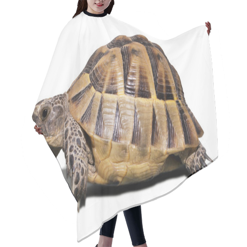 Personality  Turtle Hair Cutting Cape