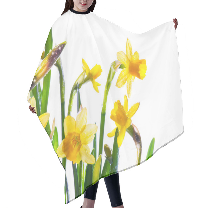 Personality  Art Wild Spring Flowers Covered With Dew In The Sunlight Hair Cutting Cape