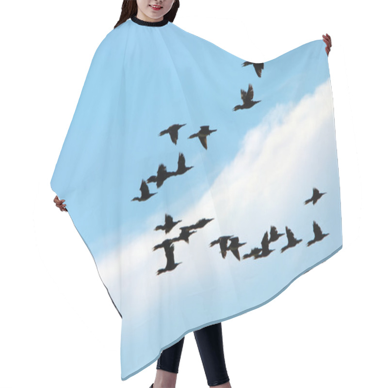 Personality  Silhouette Of Flying Birds Hair Cutting Cape