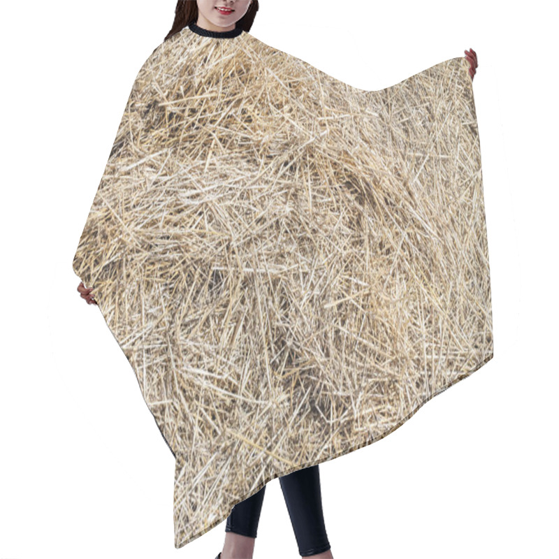 Personality  Close-up Dry Yellow Hay Texture. Natural Straw Background. Summer Rural Backdrop. Copyspace. Hair Cutting Cape