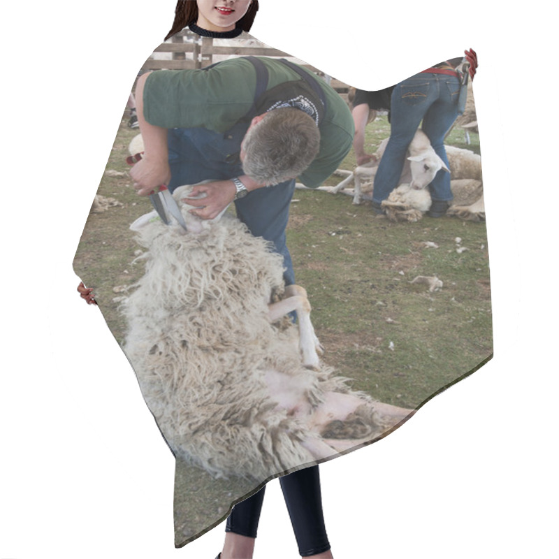 Personality  Sheep Shearing Ermelo Hair Cutting Cape