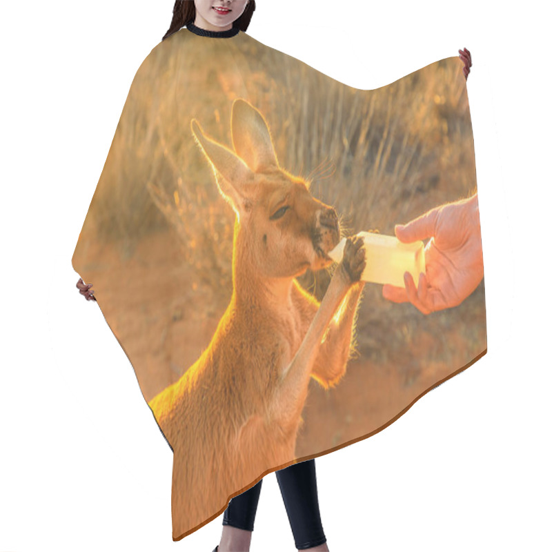 Personality  Kangaroo Bottle Feeding Hair Cutting Cape