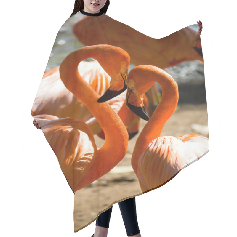 Personality  Loving Flamingos Forming A Heart Shape Hair Cutting Cape