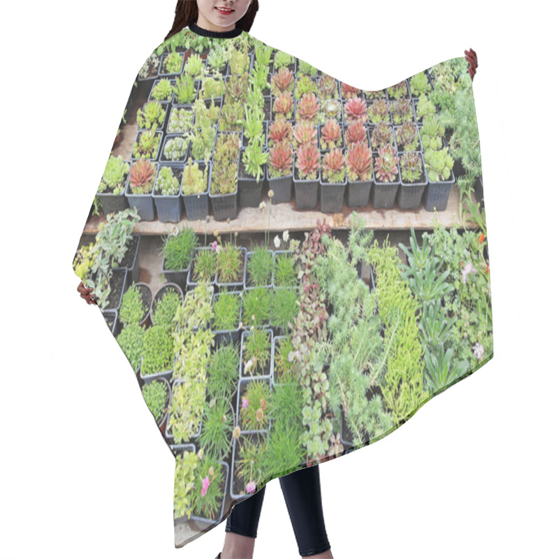 Personality  Nursery Plants Hair Cutting Cape