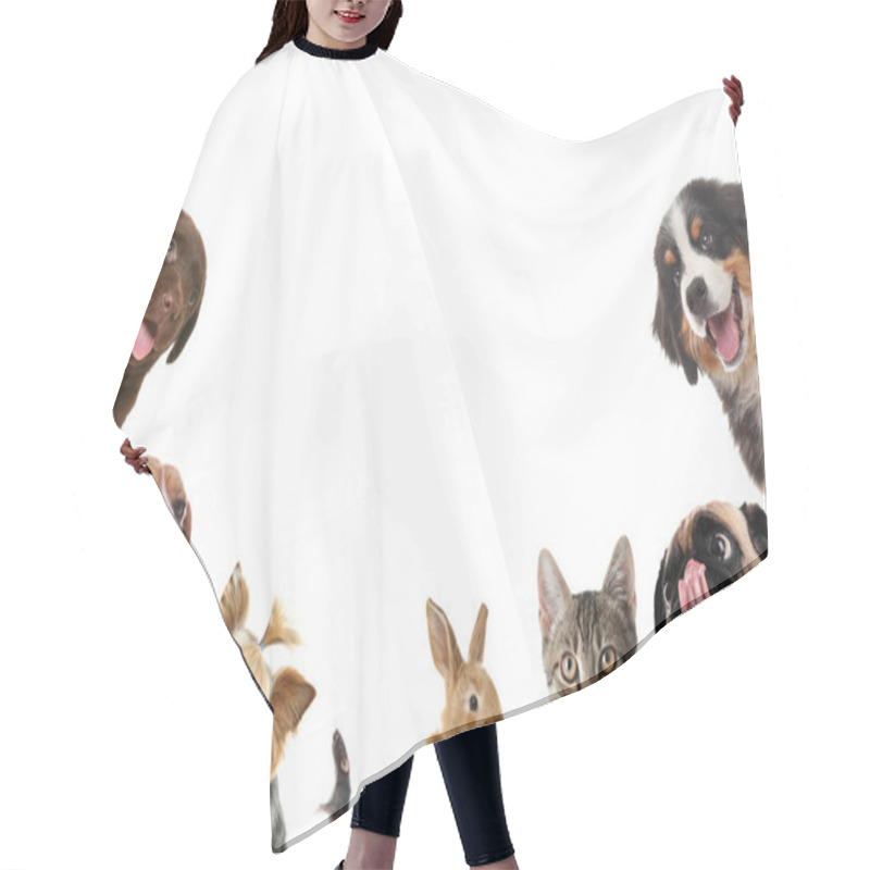 Personality  Set With Different Cute Pets On White Background Hair Cutting Cape