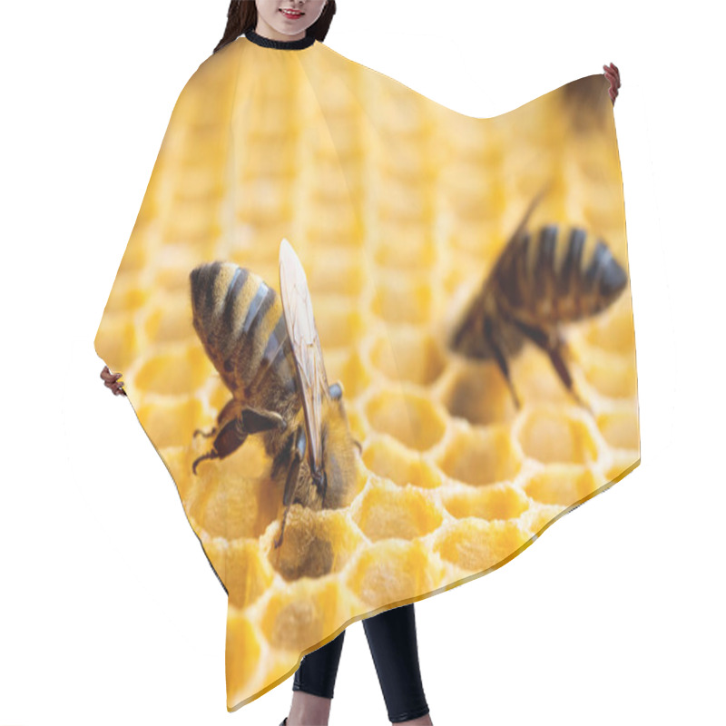 Personality  Macro Photo Of Working Bees On Honeycombs. Beekeeping And Honey Production Image Hair Cutting Cape