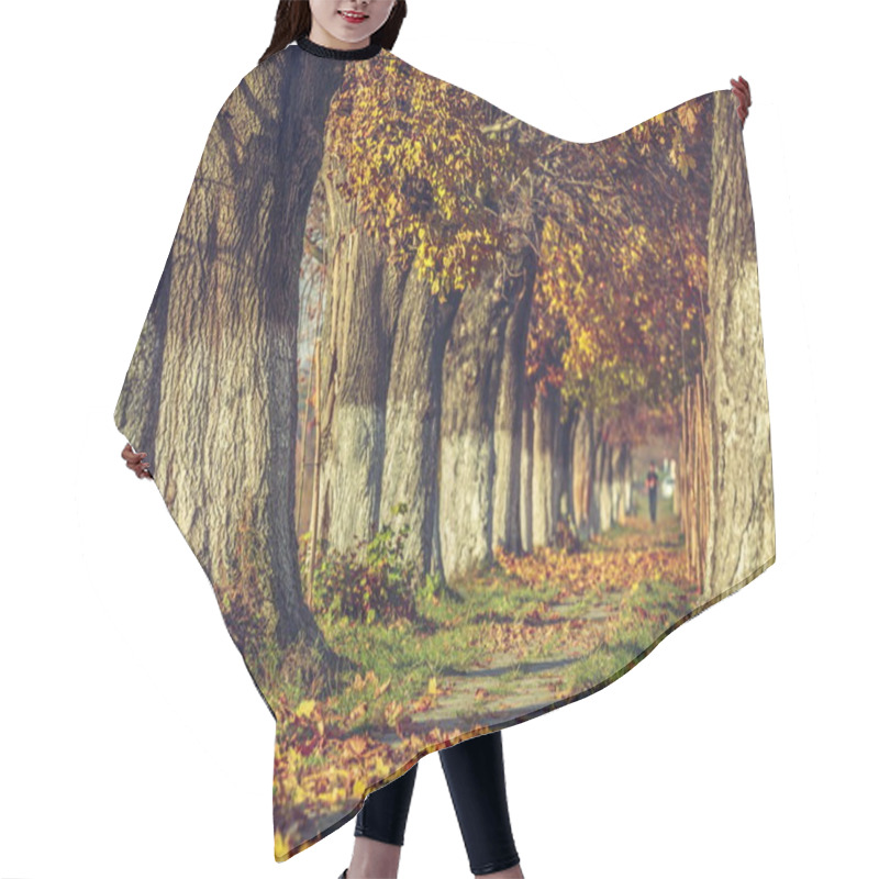 Personality  Serene Autumn Landscape Hair Cutting Cape