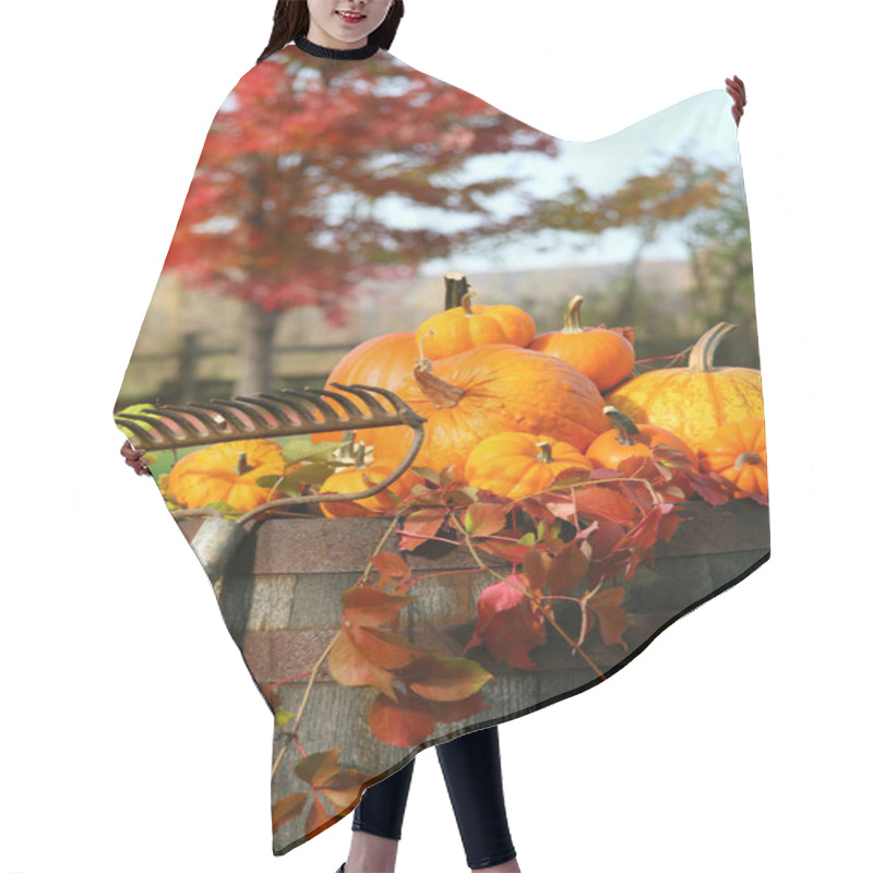 Personality  Rake And Pumpkins Hair Cutting Cape