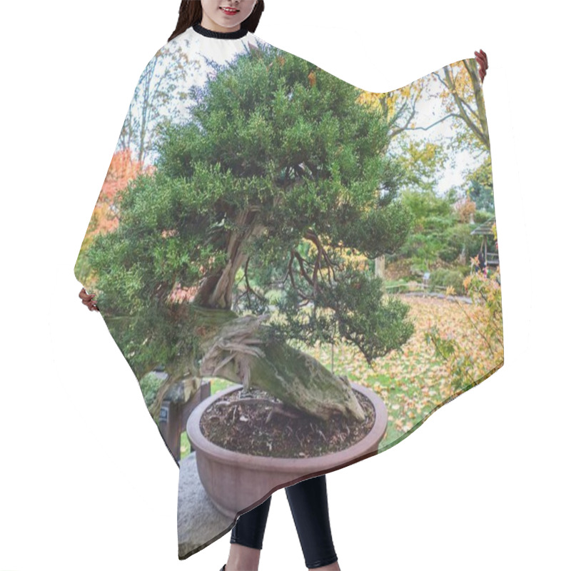 Personality  Beautiful Vivid Botanicak Garden In Autunm Season Hair Cutting Cape