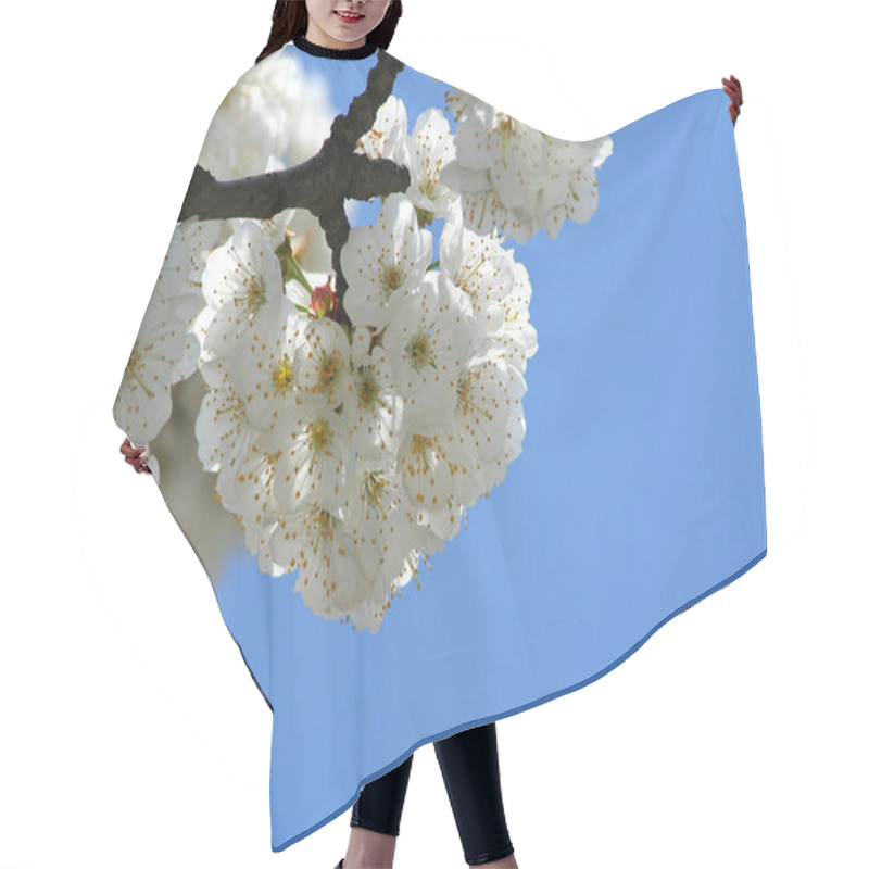 Personality  Spring Flowering Hair Cutting Cape