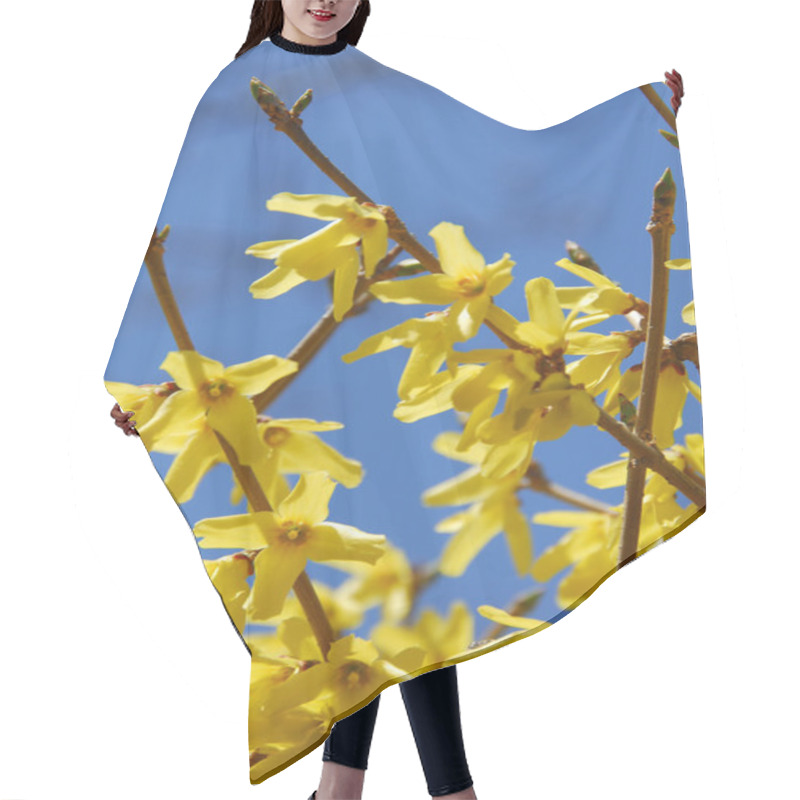 Personality  Forsythia Flower Blue Sky Hair Cutting Cape