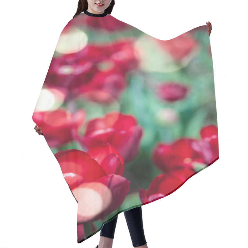 Personality  Close Up View Of Red Tulips And Sunlight Background Hair Cutting Cape