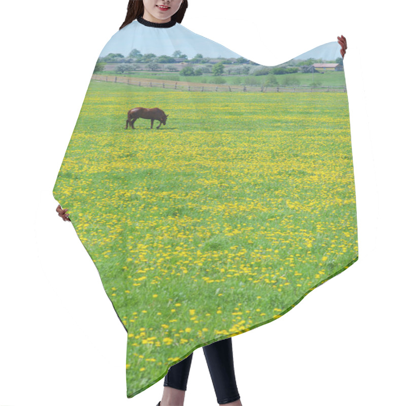 Personality  The Horse On Flowering Spring Pasture Hair Cutting Cape