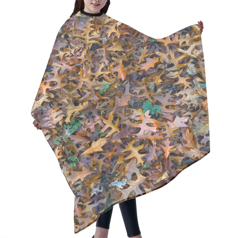 Personality  Autumn Oak Leaves Carpet. High Quality Photo Hair Cutting Cape