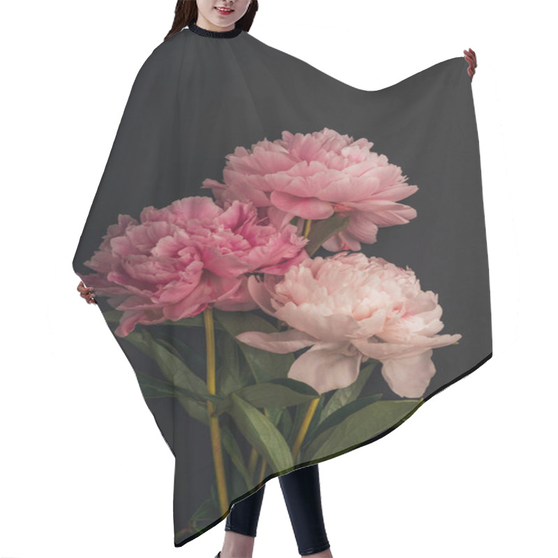 Personality  Three Pink Peony Flowers On Black Background. Hair Cutting Cape