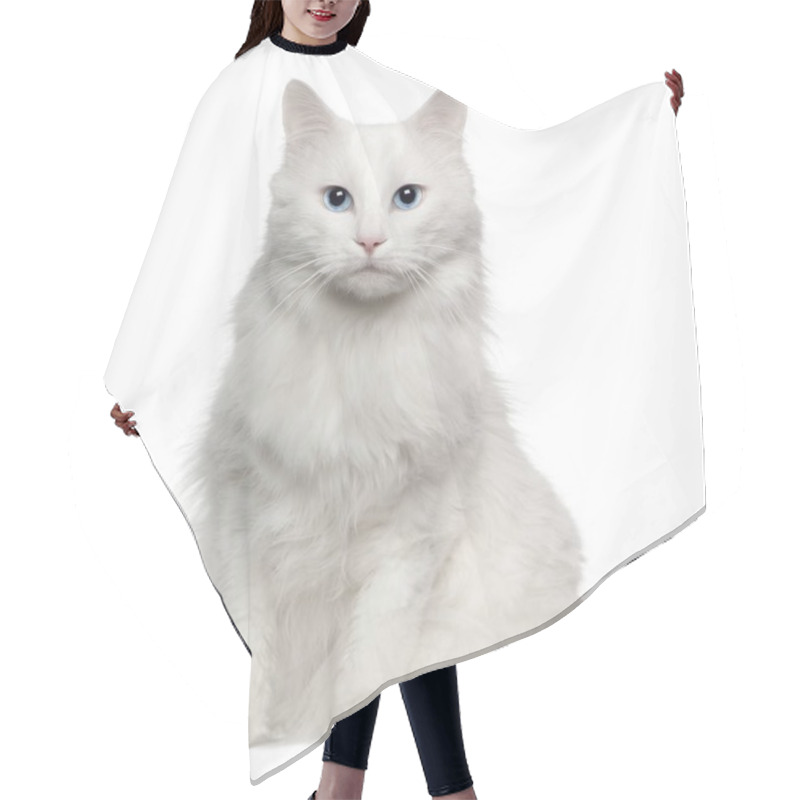 Personality  Portrait Of Turkish Angora Cat, 4 Years Old, Sitting In Front Of White Background Hair Cutting Cape