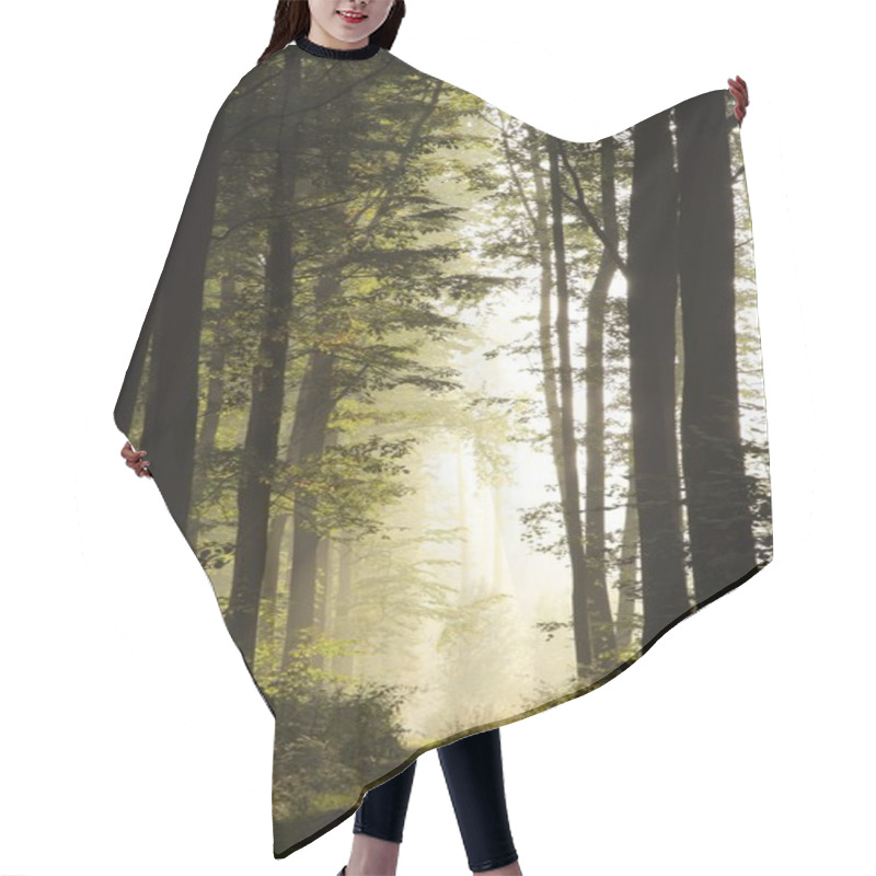 Personality  Misty Forest At Dawn Hair Cutting Cape