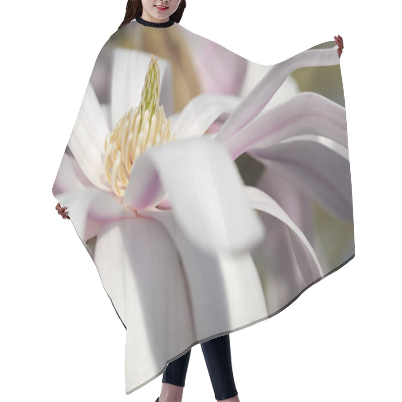 Personality  Magnolia Blossom, Flowers Bloom Hair Cutting Cape