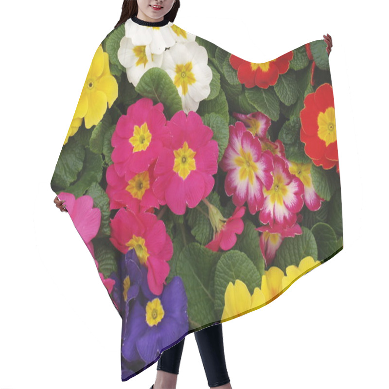 Personality  Primroses Hair Cutting Cape