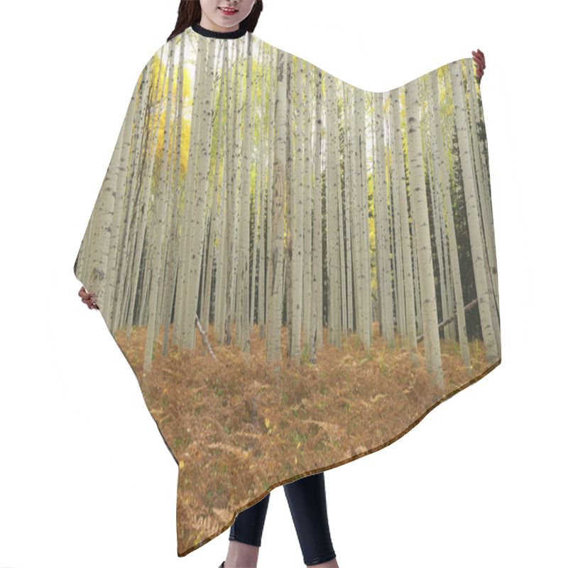 Personality  Yellow Aspen Hair Cutting Cape