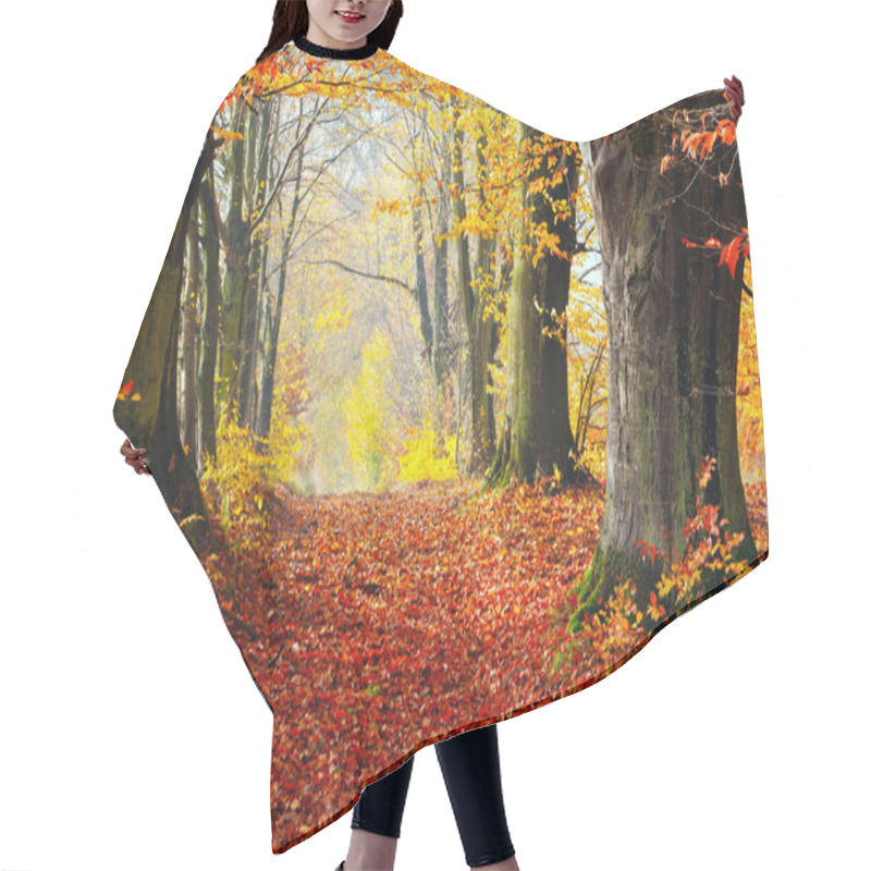 Personality  Autumn, Fall Forest. Hair Cutting Cape