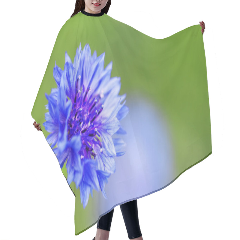 Personality  Wild Blue Cornflower On Green Blurred Nature Background Hair Cutting Cape