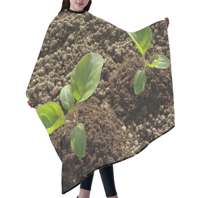 Personality  Eggplant Seedlings Hair Cutting Cape