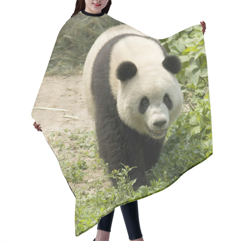 Personality  Giant Panda Hair Cutting Cape