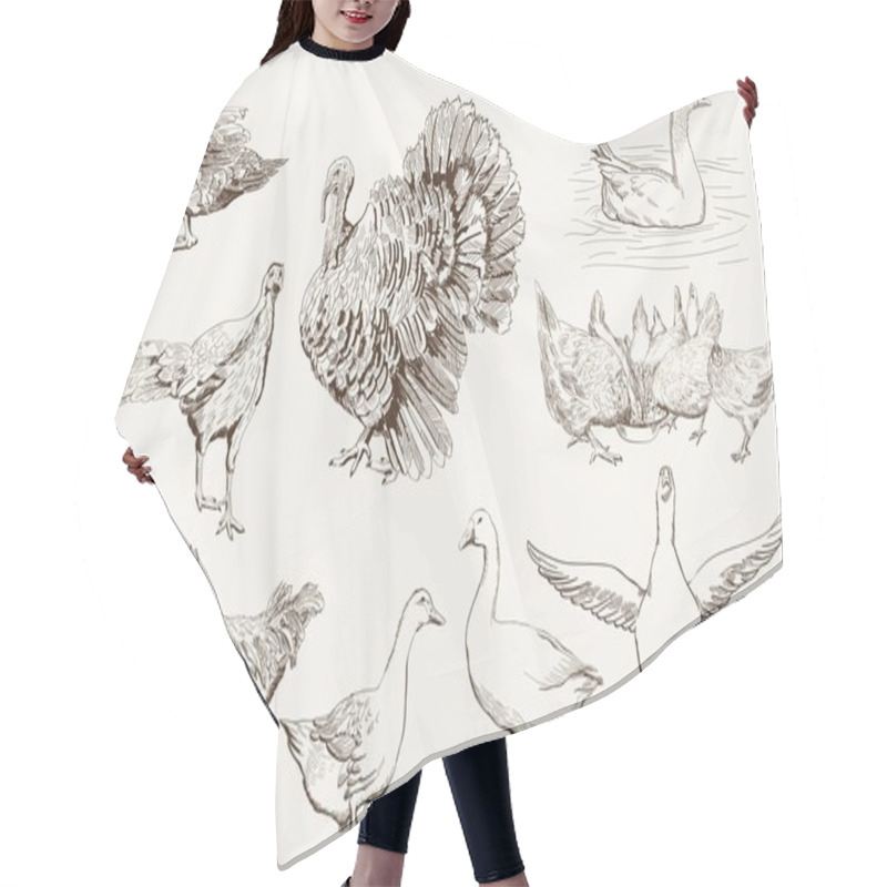 Personality  Aviculture Hair Cutting Cape