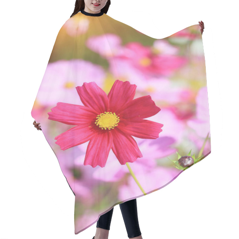 Personality  Close Up Red Cosmos Flower. Hair Cutting Cape