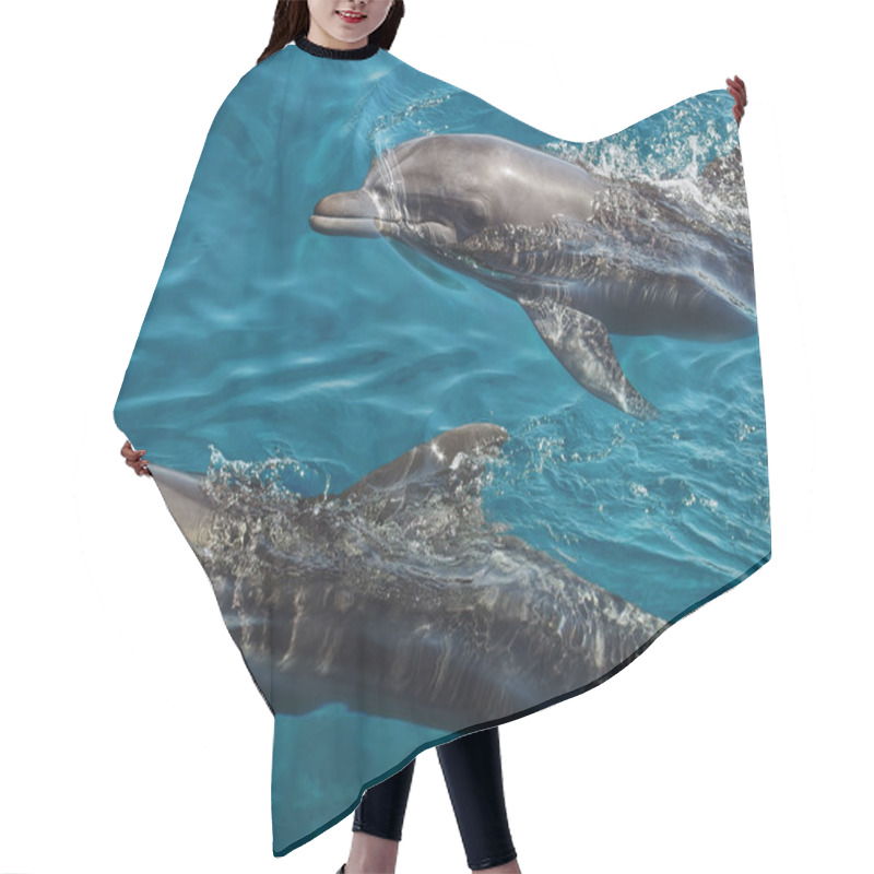 Personality  Floating Dolphins In Clean Red Sea Water Hair Cutting Cape