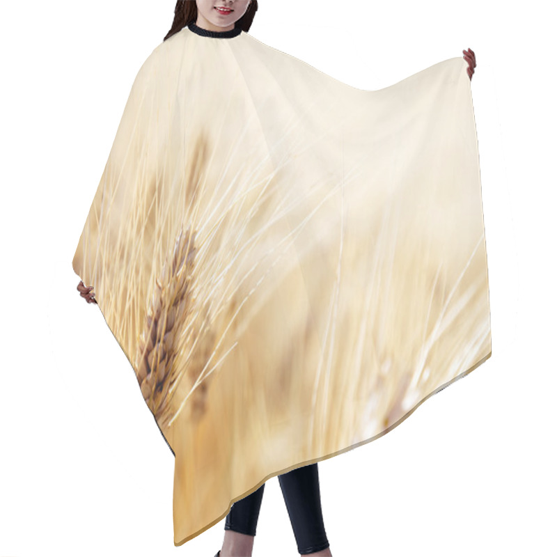 Personality  Wheat Field Hair Cutting Cape