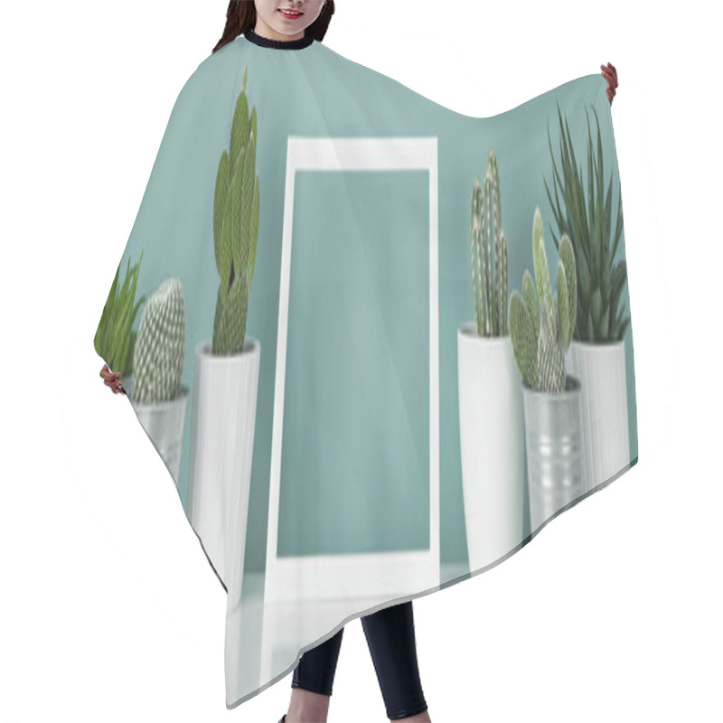 Personality  Collection Of Various Cactus And Succulent Plants In Different Pots. Potted House Plants On White Shelf Against Turquoise Colored Wall And Picture Frame Mock Up Banner. Hair Cutting Cape